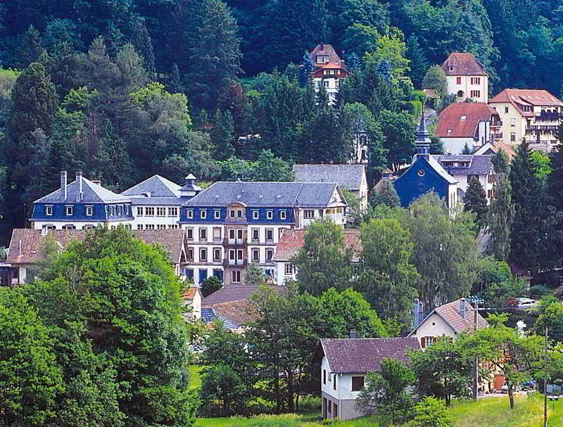 Le Grand Hotel Du Hohwald By Popinns المظهر الخارجي الصورة