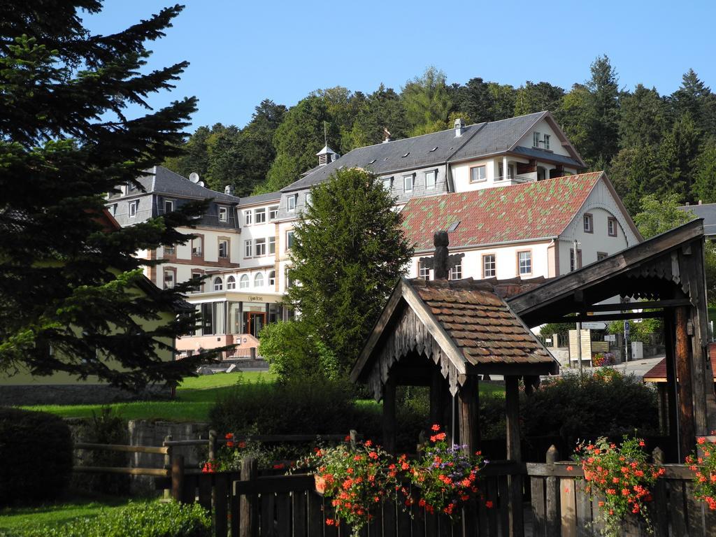 Le Grand Hotel Du Hohwald By Popinns المظهر الخارجي الصورة
